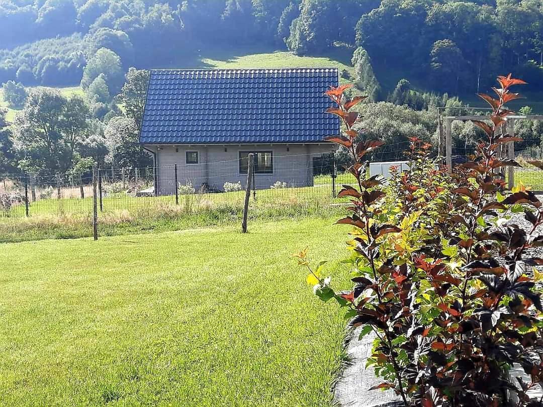 Domek Pod Ostoja Gory Sowie Lomnica  Exterior photo